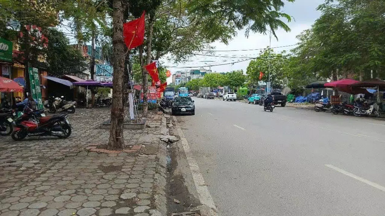Thanh Tri