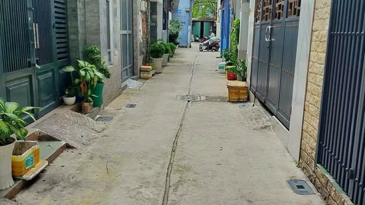 Tan Phu