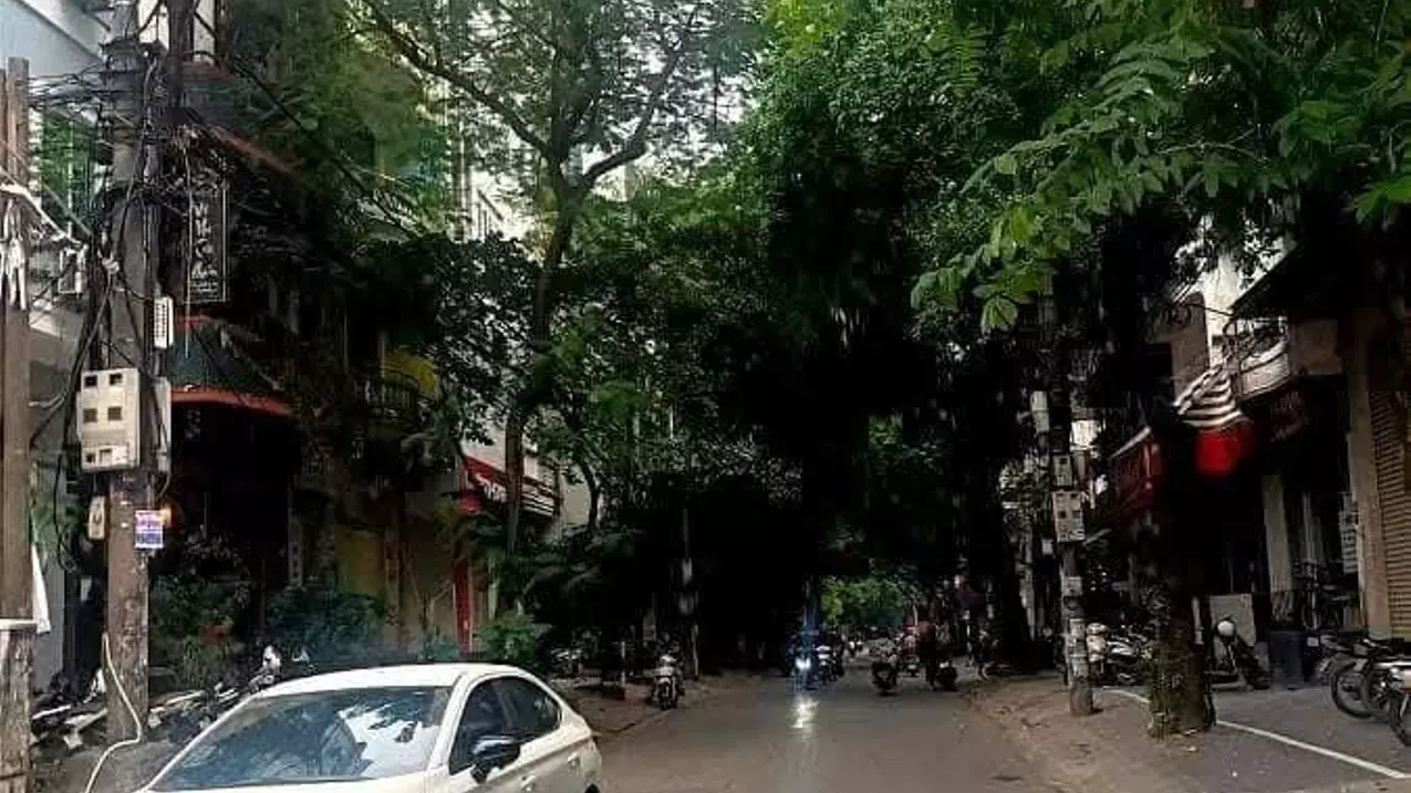 Dong Da