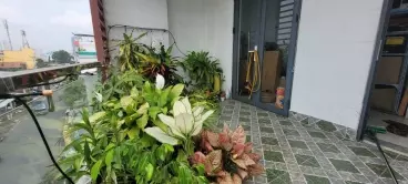 Thu Duc