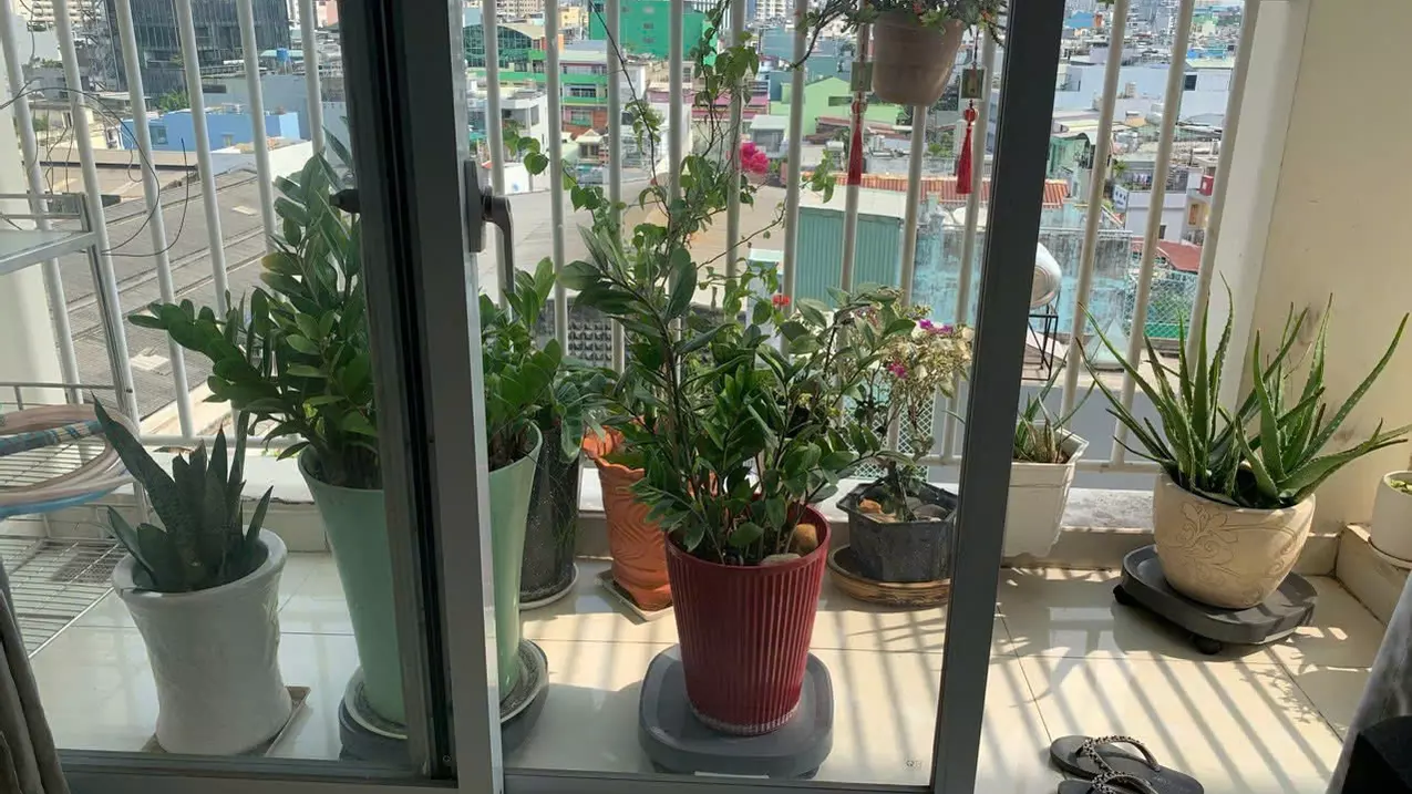 selling a 3-bedroom apartment in phu trung ward, tan phu district