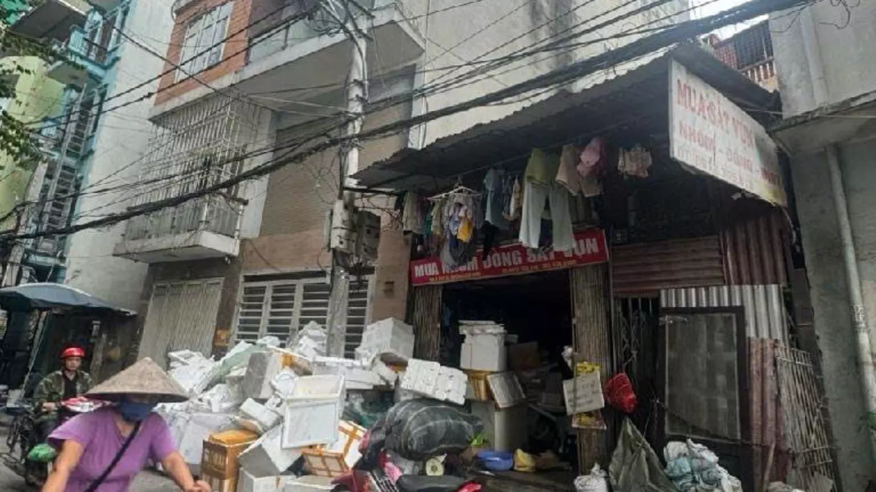 Hoang Mai