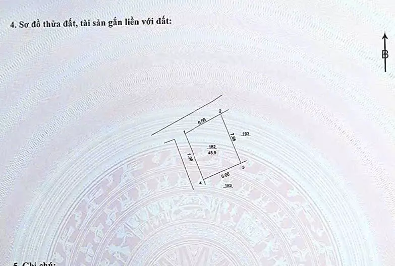 Nam Tu Liem