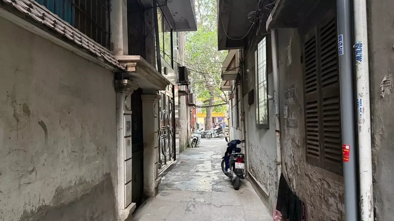 Hoang Mai