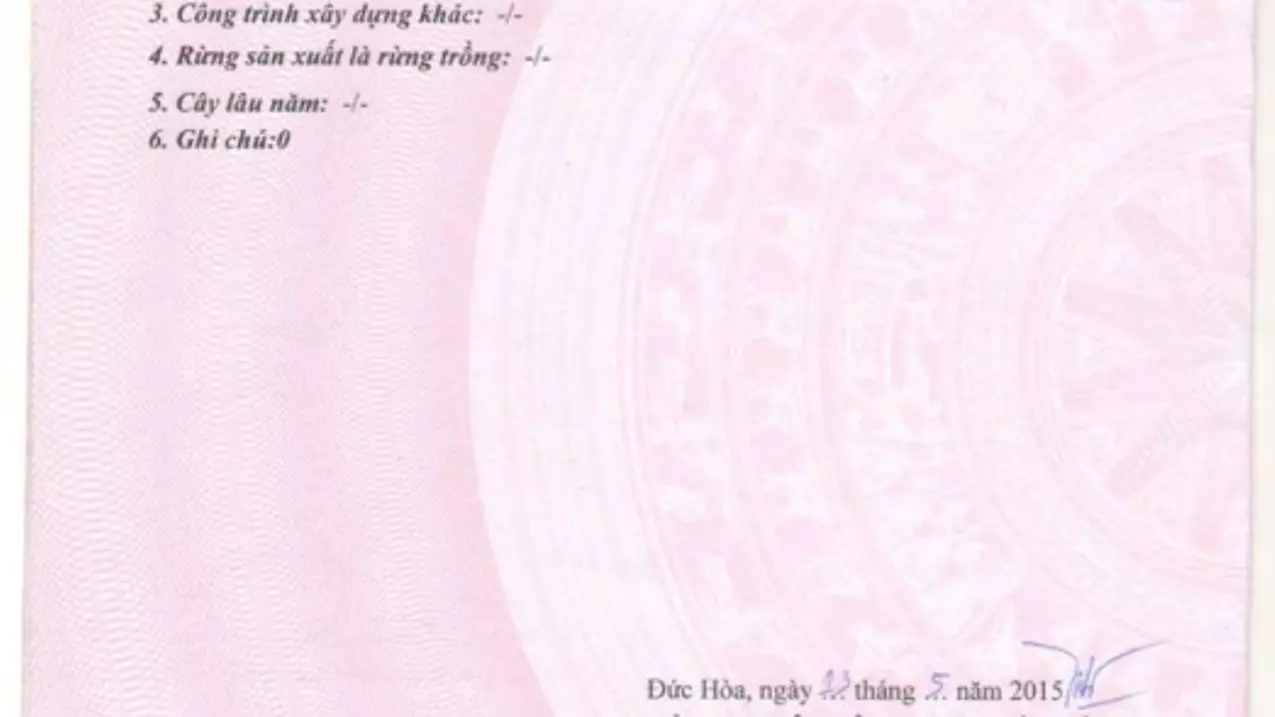 Duc Hoa