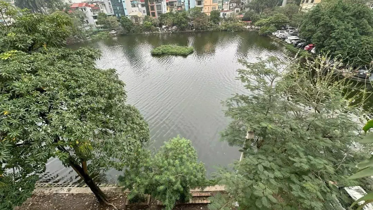Ba Dinh