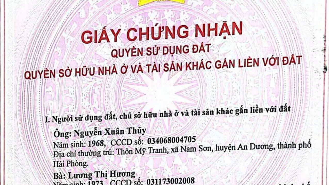 Dong Anh