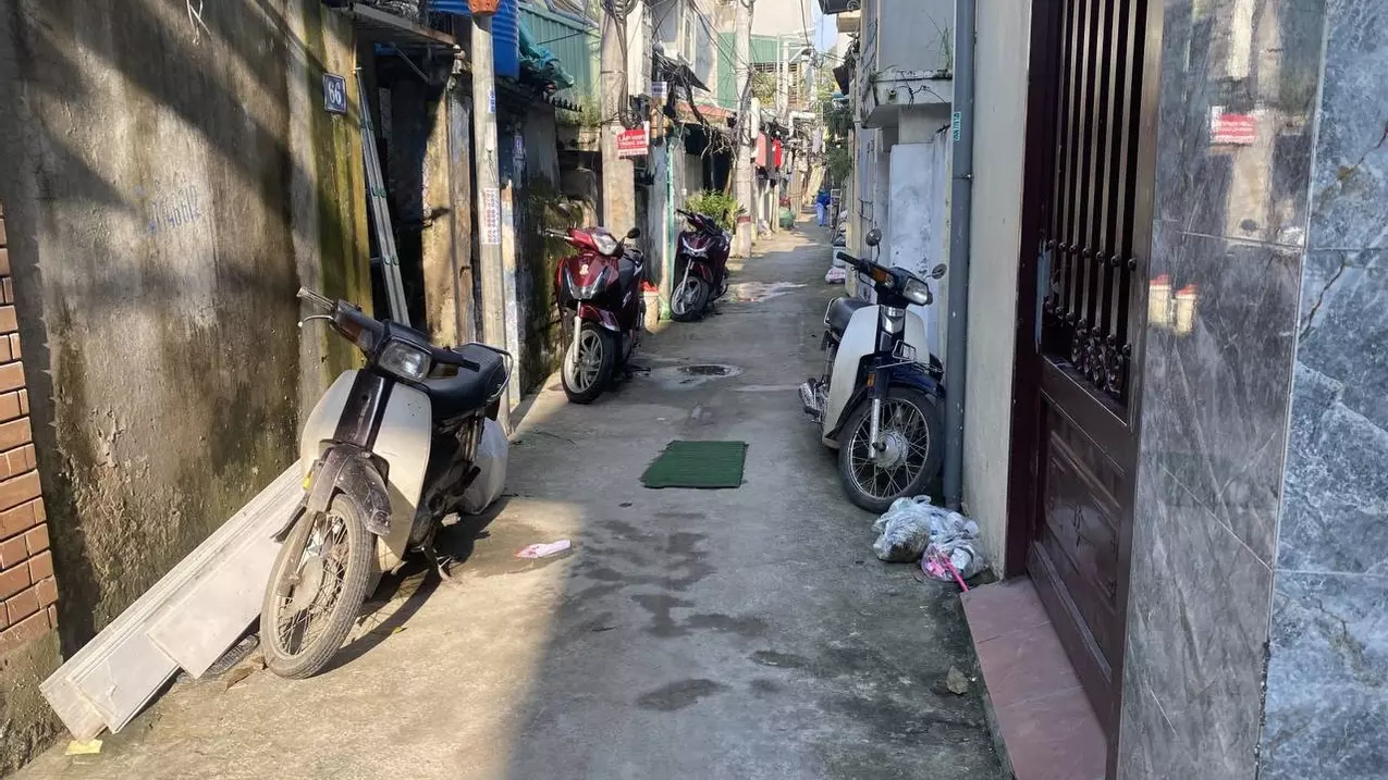 Hoang Mai