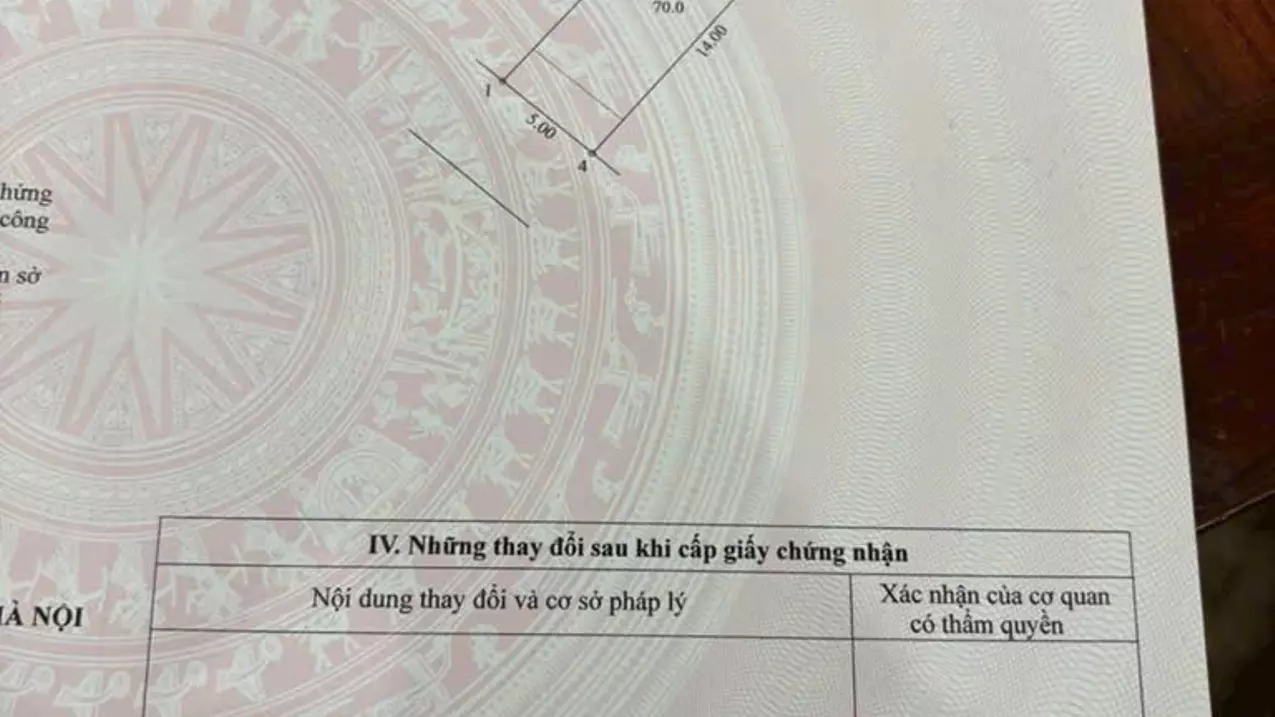 Hoang Mai