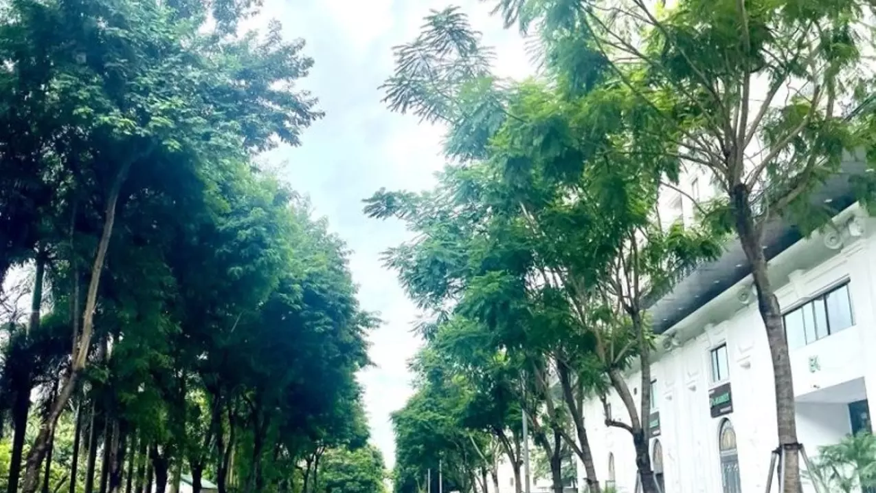 Nam Tu Liem
