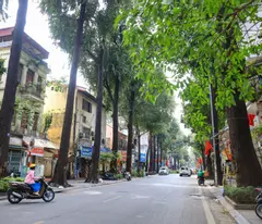 02.23.23.3. old house for sale in hai ba trung district, price only 125 million/m2, area 117.2m2