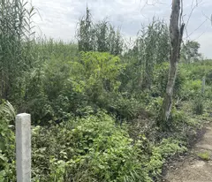 #1 || beautiful background 95m2 residential, 7m road - ecopark residential area || 1 billion 099