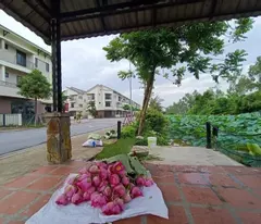 1 single shophouse, area 90m2, 3 floors, natural river view in bac ninh