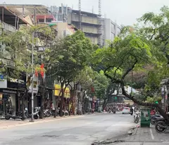 1 street side - 1 alley side - small money - top business - rare goods. house: luong dinh cua 33m2- 4billion