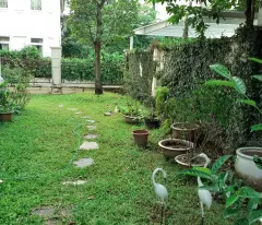 11.21.25.1 spacious splendora villa for rent that can be used for office, business, export