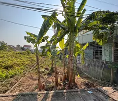 18.x million/m² – land on the road of quyet tien, hop duc, do son rare land fund – suitable for cash flow investment