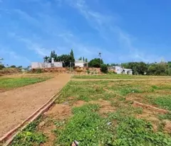 230 million notarized within the day, land covered with red book ready