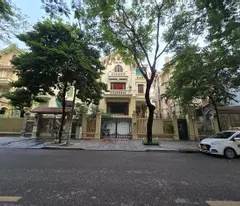 4 villas at linh dam lake - 254m2 area - full high quality interior, est price in the area