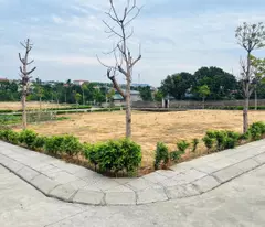 5 reasons to buy land in mao khe ward - see if you want to buy!