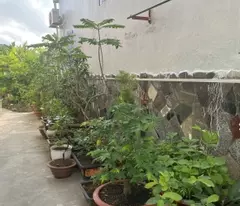 #66 || ground floor 54.92m2 tho cu, district 233 nguyen van cu, an hoa ninh kieu, city.