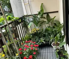 💥 ancient townhouse for sale in ha dong - golden location - 50m to street, 100m to market 💥