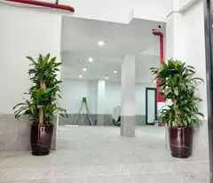 🏡 apartment building for sale vuong thua vu - thanh xuan - 95m2 - 7 floors commercial - area 8.4m - cash flow 1.5