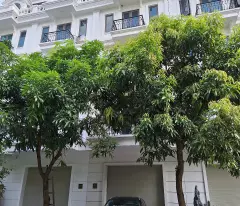 apartment for sale next to ctt9 street - kien hung luxury, ha dong - price 20 billion