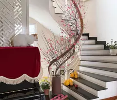 🏡 beautiful house for sale - car access to the home - central area - reasonable design - owner's red book -