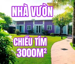 binh my – “purple garden house” 3,000m² stopped the bank – shock reduction of 2 billion