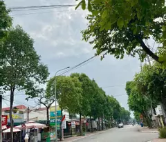 boarding house for sale in k8 area, thu dau mot, binh duong.