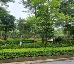 ciputra hanoi villa for sale, area 300m2, double road 40m, price only 105 billion contact 0985 680 788