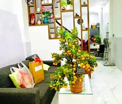 doi can house for sale, 68m2 vip ba dinh, subdivided lot, car entrance, at the top