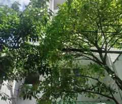 duong quang ham house for sale - behind emart phan van tri, 6/8,3x24m, 6 floors, 32 bedrooms, 26.5 billion.