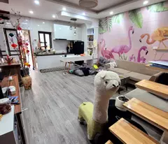 floor house for sale, 52m2, minh khai street - hoang mai, price over 8 billion - original red book