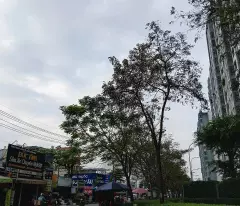 floor service apartment for sale-75m2-14br-14wc, binh hung hoa, binh tan, additional 7 billion