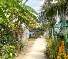 for sale 250m2 residential land in ba gac alley near nh1a