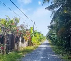 for sale 300m2 le minh xuan truck road warehouse
