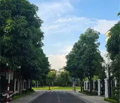 for sale vinhomes smart city dai mo - nam tu liem - 284mx4t, mt 16m - upper class