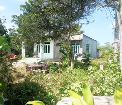 garden house for sale on street 825 - 1128m2 - 14x60 rear hatch 30m - 45m2 residential - phu my hung commune - cu chi