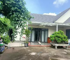 garden villa for sale 619m², deeply reduced 1.2 billion, only 3.6 billion, new now. tam phuoc, bien hoa