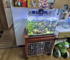 group apartment for sale 50m-2.99ty-van huong-dong da