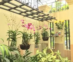 himlam truong tho villa for sale 100m², 4 floors, only 12tyxx