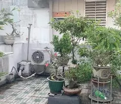house for sale, 4 floors, 36m², 4 bedrooms, 3 bathrooms, truong sa, ward 14, phu nhuan - 5.5 billion