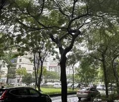 house for sale, corner lot, business, viet hung urban area, 78m t1, 2 airy, car parking, 5 billion 5
