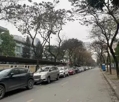 house for sale corner lot on ho tung ma street – 42m2-11 elevator floors – cash flow 70 million/month – price ~ 14.3 billion