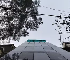 🌟 house for sale facing vong street 81m2 x 8 t price 36 billion peak business, office 🌟