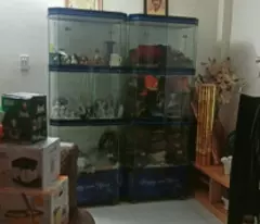 house for sale front of street 588 phuoc long a thu duc - 90m2 - 200m to binh thai station