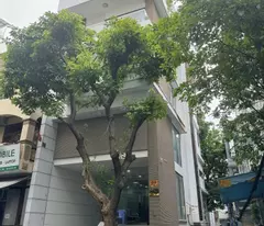 house for sale, frontage on hoa cau street, ward 7, phu nhuan - 6.3x17m - 49 billion
