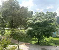 house for sale in bach dang go vap, 3 floors, 4x23, income 20 million/month, only 22 billion