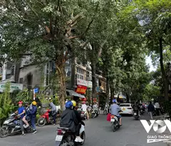 house for sale in buoi, ba dinh, subdivided lot, 3 floors, 43m2, 6 elevator floors, only 14 billion